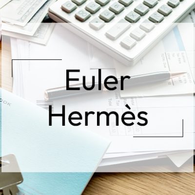 Euler Hermes x Numen : adapter la gestion de courriers clients avec l'environnement client